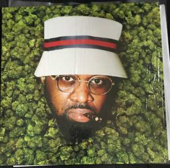 LP Smoke DZA: Homegrown LTD | CLR