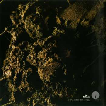 CD SOiL: Scars