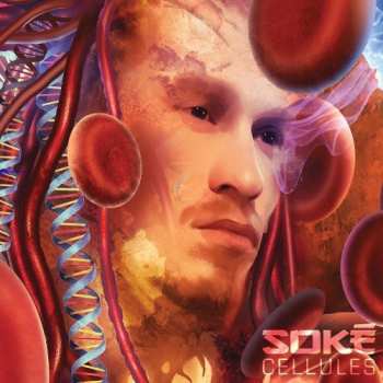 CD Soké: Cellules