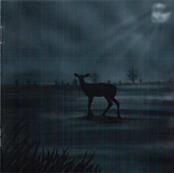 CD Solar Project: Ghost Lights