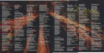 CD Solos: Beast Of Both Worlds