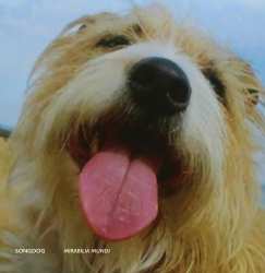 LP Songdog: Mirabilia Mundi
