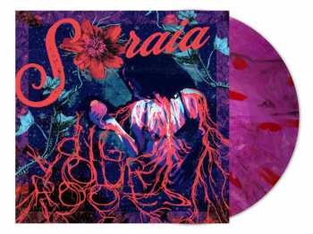 LP Soraia: Dig Your Roots CLR