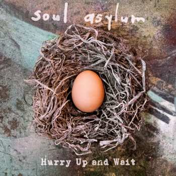 MC Soul Asylum: Hurry Up And Wait LTD