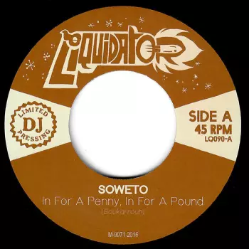 In For A Penny, In For A Pound / Learn The Ska