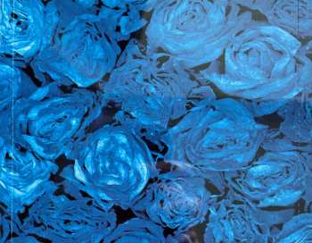 CD Stanisław Sojka: Soyka Sings W. Shakespeare's Sonnets