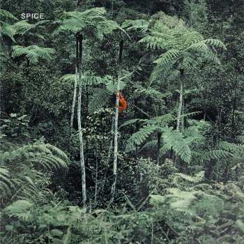 CD Spice: Spice DIGI