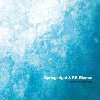 Album F.S. Blumm: The Bird And White Noise