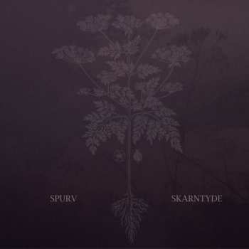 LP Spurv: Skarntyde