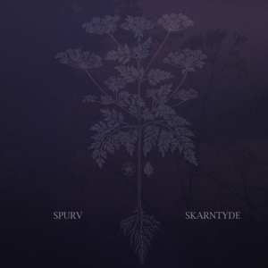 CD Spurv: Skarntyde