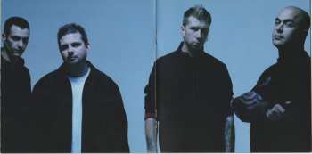 CD/DVD Staind: 14 Shades Of Grey LTD