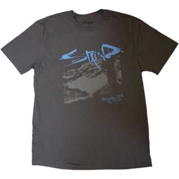 Merch Staind: Tričko Break The Cycle