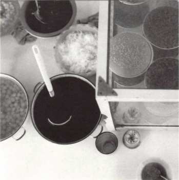 CD Stephan Eicher: (1000 Vies)