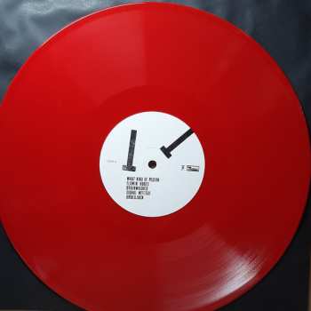 LP Stephen Malkmus: Traditional Techniques LTD