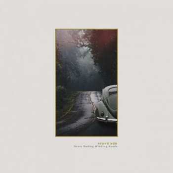 Album Steve Bug: Never Ending Winding Roads