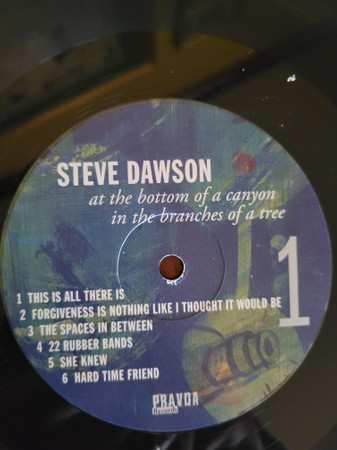 LP Steve Dawson: At The Bottom Of A Canyon In The Branches Of A Tree
