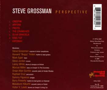 CD Steve Grossman: Perspective