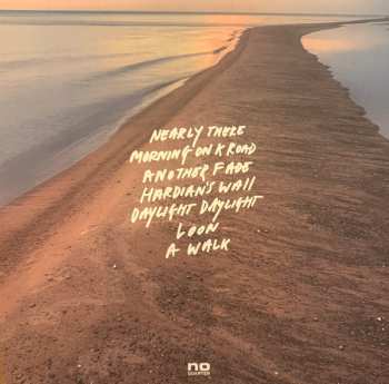 LP Steve Gunn: Daylight Daylight