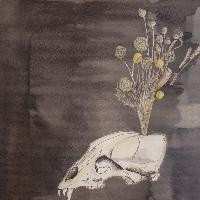 CD Steve Gunn: Seasonal Hire