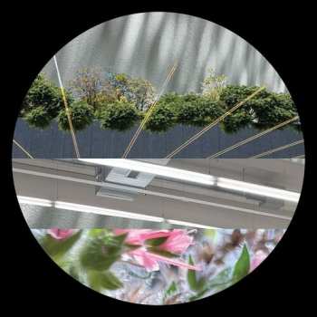 LP Steve Mill: Love Attack EP