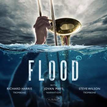 CD Steve / Richard H Wilson: Flood