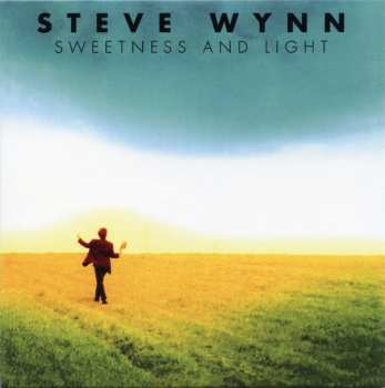 11CD/Box Set Steve Wynn: Decade