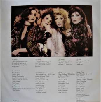 LP Stevie Nicks: The Wild Heart