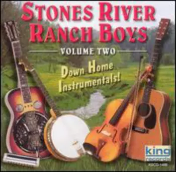 Down Home Instrumentals 2