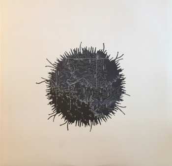 LP Stornoway: Beachcomber's Windowsill