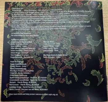 CD Stornoway: Bonxie DLX