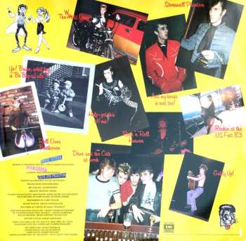 LP Stray Cats: Rant N' Rave With The Stray Cats