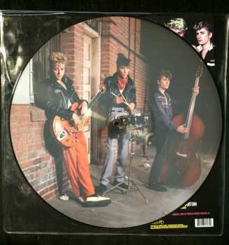 LP Stray Cats: Live At The Roxy 1981 PIC