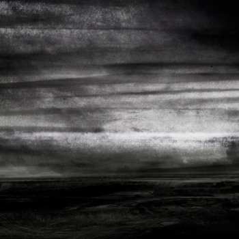 Album Stray Dogs: Wasteland