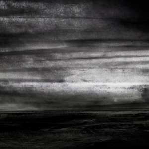 LP Stray Dogs: Wasteland LTD | NUM