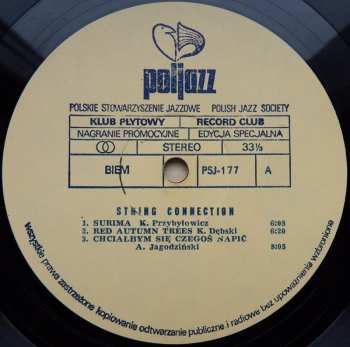 LP String Connection: Live In Warsaw