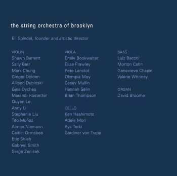 CD String Orchestra Of Brooklyn: Afterimage