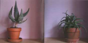 CD Stuart A. Staples: Lucky Dog Recordings 03-04