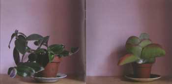 CD Stuart A. Staples: Lucky Dog Recordings 03-04