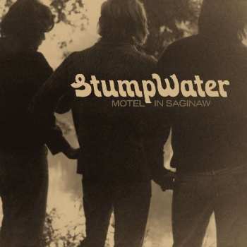 LP Stumpwater: Motel In Saginaw