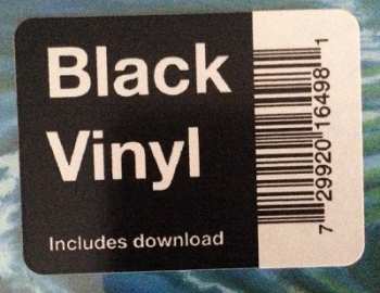 LP Sufjan Stevens: A Beginner's Mind