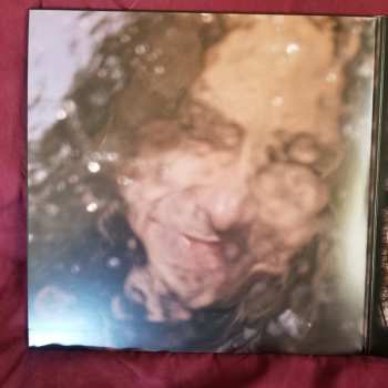 6CD Sula Bassana: The Box