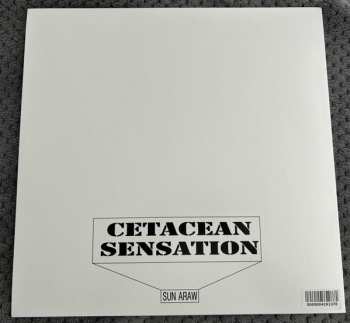 LP Sun Araw: Cetacean Sensation