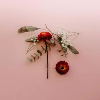 You Can Miss Something & Not Want It Back