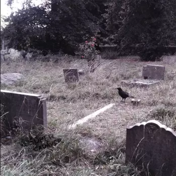 Súper Cadáver: Súper Cadáver