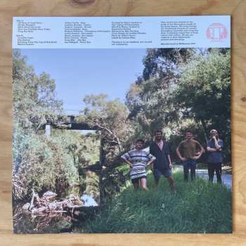 LP Surprise Chef: All News Is Good News LTD | CLR