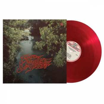 LP Surprise Chef: Education & Recreation CLR | LTD