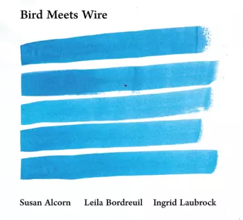 Ingrid Laubrock: Bird Meets Wire