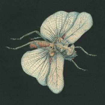 LP/CD Susanna: Go Dig My Grave