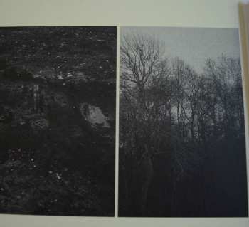 CD Susanna: Wild Dog