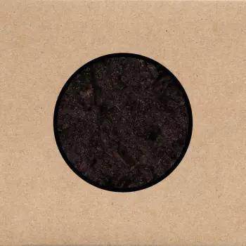Swans: Birthing